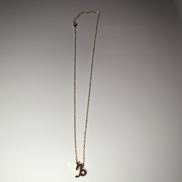 Zodiac Capricorn Sign Fashion Necklace - Picture 8 of 8